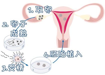 承济医学中心环境